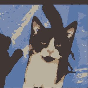 Meet your Posher, Wendy